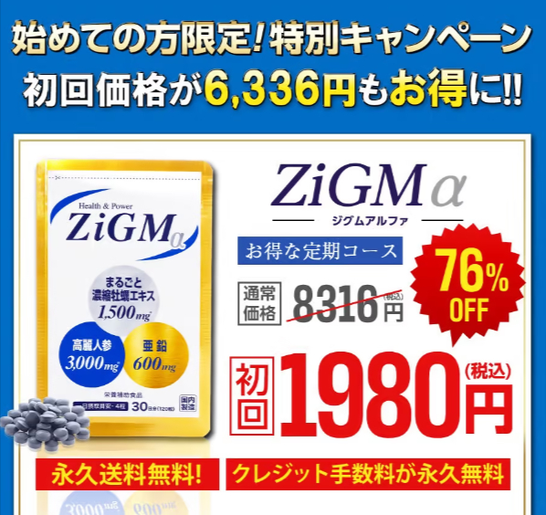 ZiGMα(ジグムアルファ)を最も安く購入する方法