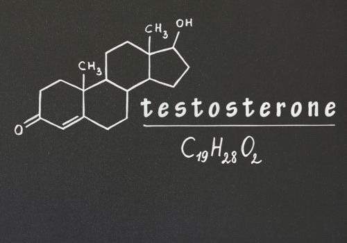 亜鉛とテストステロンの関係性