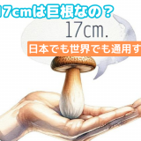ちんこ17cmは巨根なの？日本でも世界でも通用するサイズ？